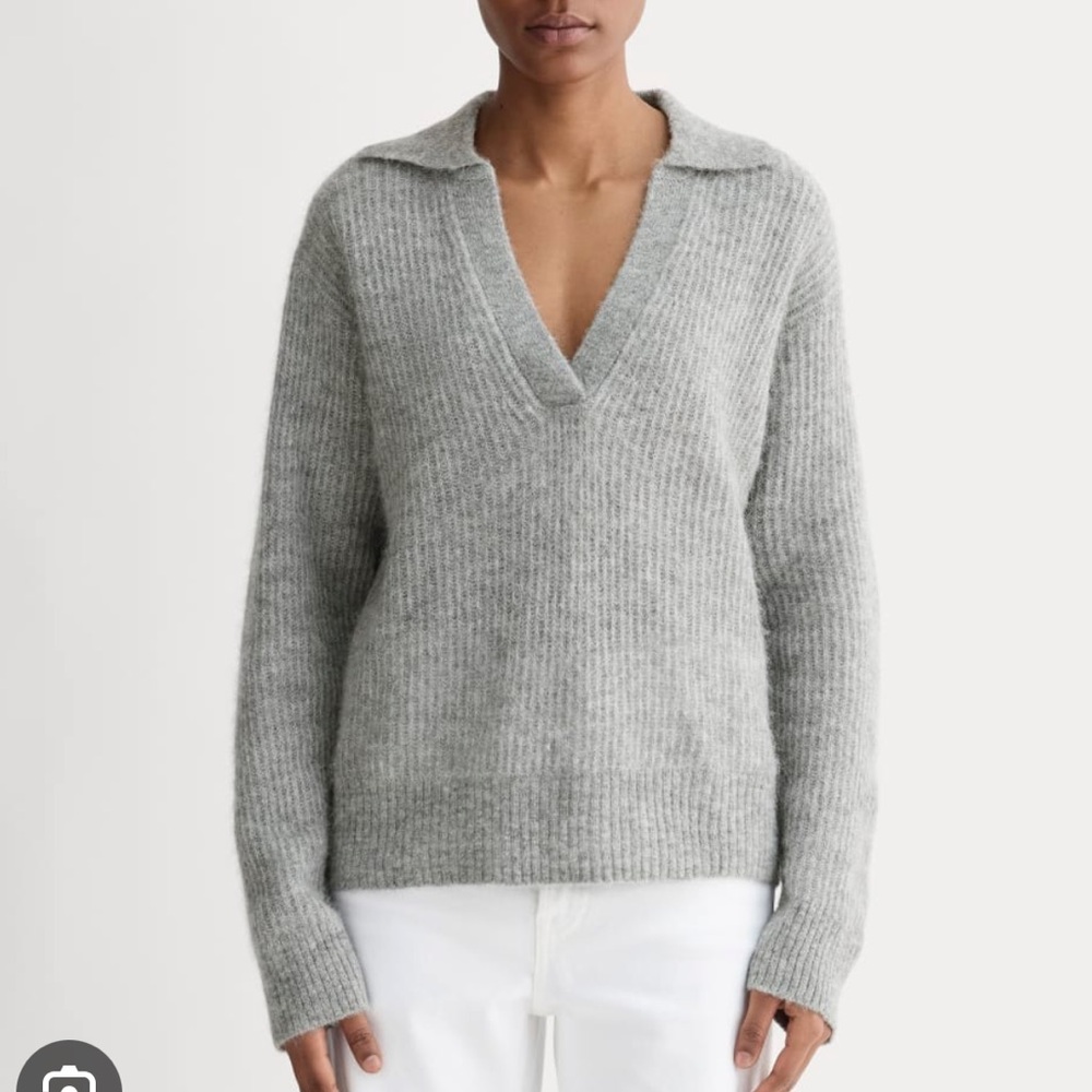Everlane Oversized Polo in Alpaca